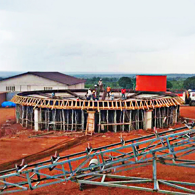 300tpd Complete Steel Processing Plant for Gold CIP/CIL Featuring Engine and Gear Core Components