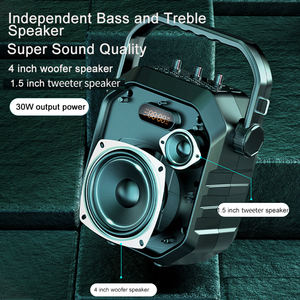 Altavoz de Karaoke portátil H4 30W BT 5,0 con micrófono independiente Woofer de 4 pulgadas Caja de sonido Tweeter de 1,5 pulgadas con baile/entrenamiento - Product Image 3