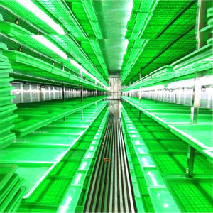 Machine de germination de graines hydroponiques pour la production de fourrage vert, la culture d'<span class=keywords><strong>orge</strong></span>, la germination de graines de haricot mungo, la germination d'arachides - Product Image 5