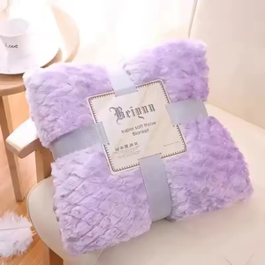 All'ingrosso della fabbrica in pile <span class=keywords><strong>di</strong></span> colore solido personalizzato gettare <span class=keywords><strong>coperta</strong></span> liscia mano <span class=keywords><strong>coperta</strong></span> <span class=keywords><strong>di</strong></span> peluche per l'inverno - Product Image 4
