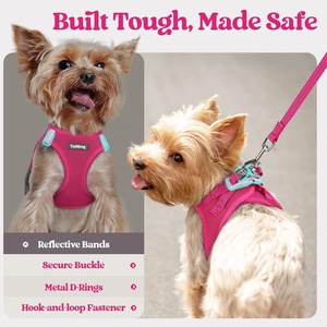 Escape Proof Safe Adjustable Kitten Vest <strong>Harnesses</strong> Soft Breathable Mesh Collars with Reflective Strips <strong>Cat</strong> <strong>Harness</strong> and Leash Set - Product Image 5