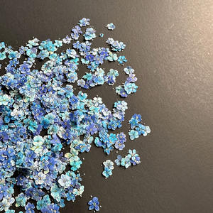Flor de encaje azul para arte de uñas Marcapáginas Resina <span class=keywords><strong>Planta</strong></span> natural Flor prensada real ecológica - Product Image 4
