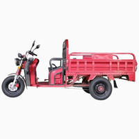 Triciclo Elettrico per Carichi Pesanti 1500W con Cassone da 1,6m, Semi-Chiuso, a 3 Ruote, per Logistica e Consegne
