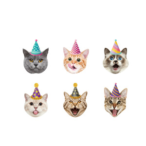 Décorations de fête d'anniversaire pour chat de compagnie, bannières animales de dessin animé, lettres dorées, thème d'anniversaire intérieur - Product Image 2