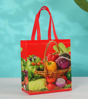 Herbruikbare Biologisch afbreekbare Non-Woven fruit-shoppertasjes met aangepast logo, digitale bedrukking, gesealde handvatten, promotionele reclame