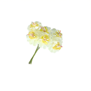 ILAN Mini Fiori Color Crema 6 Pezzi Decorazione con Fiori Artificiali Essiccati - Product Image 2