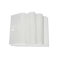 Papel de Transferencia DTF, Película PET A3 A4 A3+, Hoja para Transferencia Térmica en Camisetas, Película DTF para Impresora de Inyección de Tinta Digital Epson L1800 R1390 R805