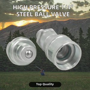 Válvula de Bola Bidireccional de Acero al Carbono GUTE ISO 14540 1/4\" NPT, Alta Presión 10000 PSI, Herramientas Hidráulicas, Bombas, Acoplamiento de Conexión Rápida 1 - Product Image 3
