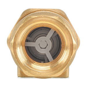 Van kiểm tra kép bằng đồng - Product Image 5