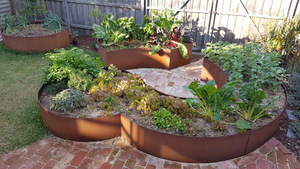 Borde Decorativo para Jardín de Acero Corten, Económico, para Paisajismo - Product Image 4