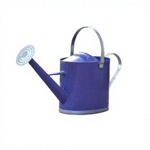 Arrosoir de conception avantageuse en métal violet couleur bidon d'eau taille et forme personnalisées bidon d'eau à vendre - Product Image 1