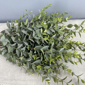 YOPIN-6063 Ramo di Eucalipto a 9 Forcelle Verde Grigio con <span class=keywords><strong>Foglie</strong></span> Appuntite Speciali e Stelo Marrone per Composizioni Floreali Nuziali - Product Image 1