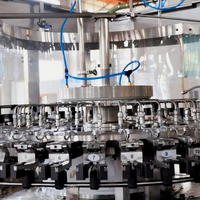 Fournisseur de ligne de production automatique de remplissage de bouteilles en verre pour spiritueux et vins sur mesure OEM