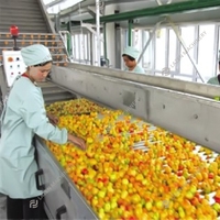 Volledige Natuurlijke Sap Productielijn Vruchtensap Productielijn Juicer Productielijn Verwerkingsmachine