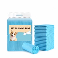 Tapis d'entraînement pour animaux de compagnie, tapis absorbants pour chien, anti-fuites, anti-odeurs, antidérapants, tapis de toilette pour chiot