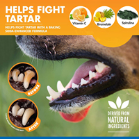 ZeBounty Prix Usine 100% Extrait Végétal Naturel Certifié ISO Soin Dentaire pour Animaux d'Compagnie Eau Rafraîchissante pour l'Haleine Chiens Chats Anti-Tartre