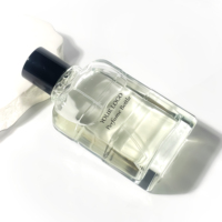 Bouteille de parfum d'atomiseur de parfum de luxe de luxe plat clair 100ml emballage en verre de forme unique bouteille de parfum vide