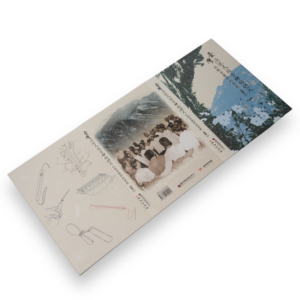 Indigenous Music Research DVD Set in Multi-Disc Hardcover with Vintage Ethnic Print - Product Image 2