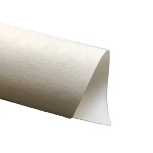 豪华天鹅绒壁纸丝绸墙布墙布卷生态溶剂乳胶印花