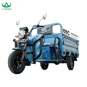 LB-ZZ180 EEC kargo sepeda roda tiga Max dimuat jarak jauh kotak kargo tiga roda kargo listrik becak untuk pertanian