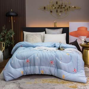 <span class=keywords><strong>Couette</strong></span> épaissie du fabricant en gros printemps et automne <span class=keywords><strong>couette</strong></span> velours <span class=keywords><strong>hiver</strong></span> <span class=keywords><strong>été</strong></span> <span class=keywords><strong>couette</strong></span> - Product Image 5