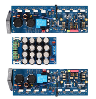 Un ensemble de cartes d'amplificateur de puissance mono 600W avec filtre A+B, double alimentation 24-35V