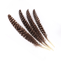 Plumes d'ailes de dinde naturelles 30-35CM en gros Plumes lavées à motifs pour l'artisanat et les décorations de flèches