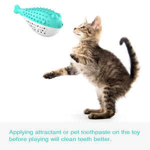 Vente chaude qualité supérieure soulager l'ennui en plastique cataire dents meulage drôle son chats jouets pour chats - Product Image 3