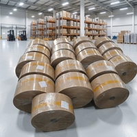 Yırtılmaya Dayanıklı Gıda Sınıfı Silikon Çift Taraflı Yapışmaz Su Geçirmez Pişirme Kağıdı Jumbo Rulo Ekmek İçin Kaynak Fabrika