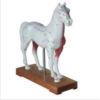Maniquí Veterinario para Diagnóstico de Caballos, Recursos de Enseñanza y Entrenamiento en Acupuntura Animal, para Escuelas de Veterinaria, con Certificación CE/ISO