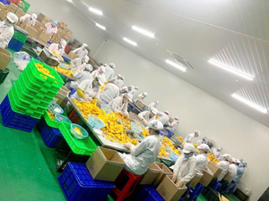 OEM/ODM Mango Deshidratado en Rodajas de Vietnam, Dulce, Procesado por Secado AD, Frutas y Verduras Deshidratadas, Empaque a Granel - Product Image 4