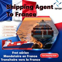 Agente de Transporte Marítimo Francia Le Havre Marsella Provence Aeropuerto FBA Transitario de Carga Marítima Puerta a Puerta