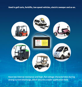 Batería SKE de 12V 65Ah, Precio de Fábrica, Personalizable, Solar LiFePO4, 2000 Ciclos, IP30 Impermeable, <span class=keywords><strong>3</strong></span> Años de Garantía - Product Image 6