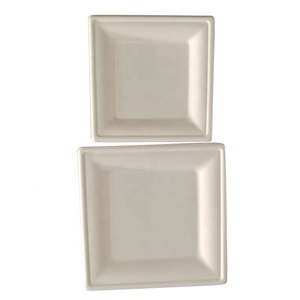 Vente en gros Assiette carrée en pâte à papier biodégradable et compostable écologique - Product Image 1
