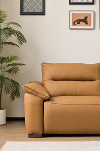 Divano Letto Elettrico Reclinabile in Pelle, Design Europeo Salvaspazio, 3 Posti, Telaio in Legno Massello Pieghevole per Soggiorno - Product Image 2
