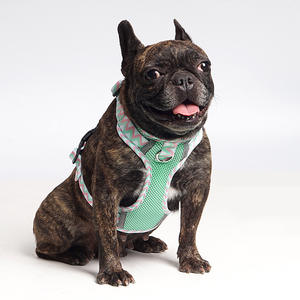 Summer Edition <span class=keywords><strong>Dog</strong></span> Leash Vest Solid Pattern Polyester Chest Button Closure <span class=keywords><strong>Wholesale</strong></span> <span class=keywords><strong>Pet</strong></span> Supplies Colorful Soft Harness - Product Image 1