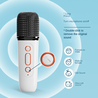Mini haut-parleur de karaoké extérieur avec double microphone de karaoké KTV portable sans fil Subwoofer de carte mobile