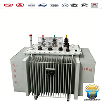 Transformateur de distribution électrique triphasé immergé dans l'huile, 300, 600, 700, 800, 1000 KVA, 10, 11, 33 Kv, 400 V, abaisseur/élévateur de tension
