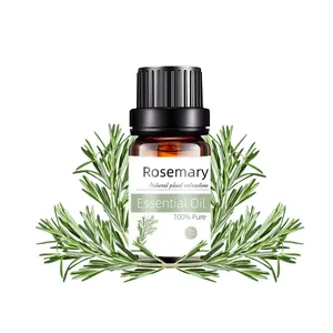 China Supplier 100% pure Aromatherapy Rosemary essential oils manufacturers