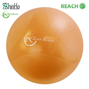 Pilates Ball Zhensheng High Density Foaming Exercise Fitness Pilates Yoga Ball With Air Pump