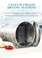 Hete Verkoop Vriesdroger Machine Fruit Drogen Productielijn Beste Kwaliteit Vacuüm Vriesdroger Apparatuur Voor Dierenvoeding