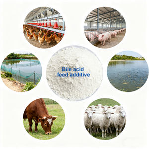 Booster de croissance pour porcs Additif alimentaire à l'acide biliaire pour porcs de pépinière et de finition - Product Image 4