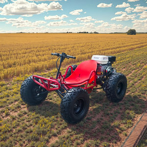 212 cm³ Renn-Gokart mit Stahlrahmen, hydraulischen Scheibenbremsen, 2x4-Antrieb, verstellbaren Sitzen, Frontlichtern, Benzinmotor, 70 km/h Höchstgeschwindigkeit und Driftfunktion - Product Image 3