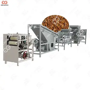 500Kg/H Automatic Hazelnut Shelling And Sorting Machine Cracking Palm Kernel Cracker And Separating Machine