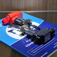 Interrupteur de débit à palette ULTIMHEAT avec boîtier, raccord en laiton nickelé, écrou 3/4 BSPP, interrupteur magnétique 1A, plastique IP65 250V