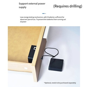 Bảo mật cao Mini nội thất tủ khóa thông minh truy cập điện tử thông qua ttlock/tuya ứng dụng với dữ liệu thẻ nhớ ổ khóa thông minh - Product Image 6