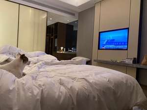 Televisor Inteligente Android QLED 4K de 43 Pulgadas con Pantalla Completa, WiFi Integrado y HDR, Especial para Hoteles - Product Image 6