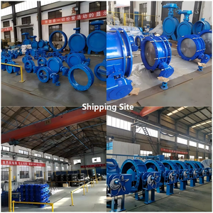 Valvola a <span class=keywords><strong>Farfalla</strong></span> a Doppia Eccentricità con Flangia e Guarnizione Morbida per Interruzione di Flusso in Impianti di Acqua, Petrolio, Gas e Industria Chimica - Product Image 5