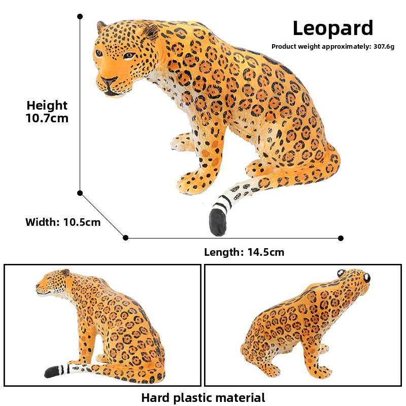 Leopard-Other