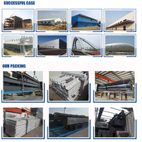 Estructuras de Acero en Venta, Kits de Construcción Prefabricados, Estructura de Acero para Almacenamiento de Caballos, Establo